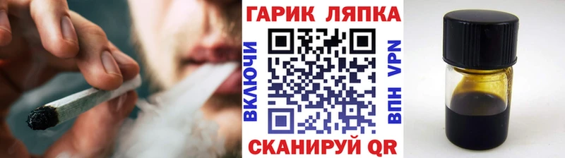 Купить закладки  Мичуринск  Гашиш гарик 