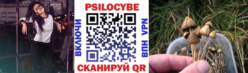 Купить закладки  Мичуринск  Галлюциногенные грибы Cubensis 